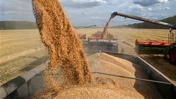   جفاف الحقول في كندا يهدد إمدادات القمح العالمية 
