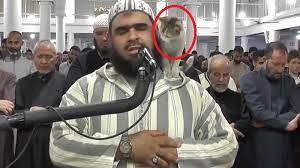   شاهد| قطة تصعد فوق كتف الإمام في صلاة التراويح.. من هو الشيخ بطل الواقعة؟