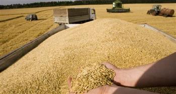   تقرير: أسعار القمح في روسيا تتراجع إلى أدنى مستوى قياسي منذ 2019