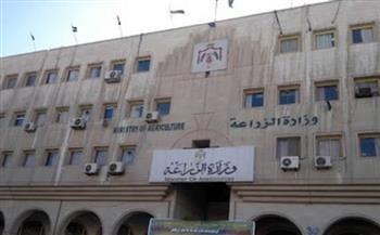 أستاذ زراعة يكشف  خطة الدولة لتوفير المحاصيل الاستراتيجية وتحقيق الاكتفاء الذاتي