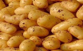  "الزراعة": فحص أكثر من 526 ألف طن بطاطس معدة للتصدير حتى مارس الماضي