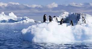   القارة القطبية الجنوبية تسجل أدنى مستوى للجليد منذ 44 عامًا
