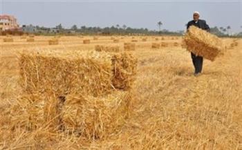   «الزراعة الآلية» تستعد لموسم حصاد القمح على مستوى محافظات الجمهورية