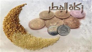 زكاة الفطر مال أم حبوب ؟.. دار الإفتاء تحسم الجدل