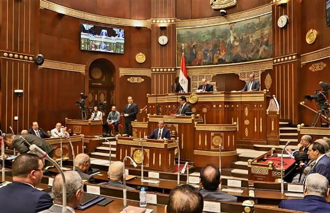 مجلس الشيوخ يحيل خطة التنمية الاقتصادية لعام 2023/ 2024 للجنة المالية