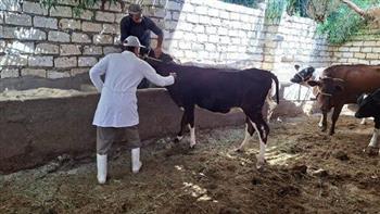   وزير الزراعة: تحصين أكثر من 5.8 مليون رأس ماشية ضد الحمى القلاعية والوادي المتصدع