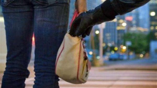 حبس المتهمين بسرقة حقيبة سيدة وهاتفها بمنطقة السلام