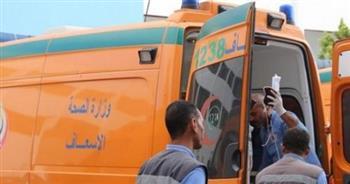 إصابة 12 طفلا عقرهم كلب ضال بقرية شبرا بابل فى المحلة