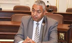 نقيب الصحفيين ينعى محمود بكرى