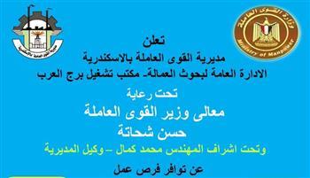 "القوى العاملة": فرص عمل للشباب بالأسكندرية