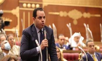   النائب أحمد فوزي: قضية الزيادة السكانية الأخطر ولابد من حلول لها خلال جلسات الحوار الوطني