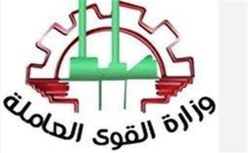 "القوى العاملة" : جولة في مواقع عمل .. و برنامج لتدريب الفتيات بالأقصر