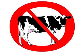   مواطنون ضد الغلاء لحماية المستهلك تطالب بمقاطعة اللحوم
