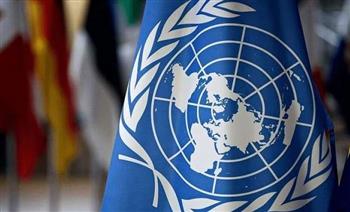   «الأمم المتحدة»: بدء عمل أول مقررة خاصة معنية بحالة حقوق الإنسان في روسيا 
