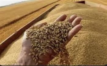 وكيل تموين المنيا مشيدا بزيادة سعر توريد القمح لـ1500 جنيه: الفلاحين مبسوطين