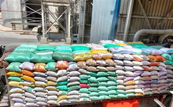   «تموين كفر الشيخ»: توريد 113 ألفاً و 486 طناً من القمح لمواقع التخزين