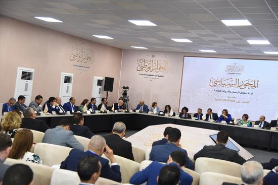 ضياء رشوان: المساواة مبدأ حاكم للدستور ولا يجب التضييق على المقترحات بدعوى عدم دستوريتها