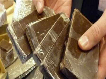 حبس عاطل بحوزته 50 طربة حشيش في المنتزه بالإسكندرية