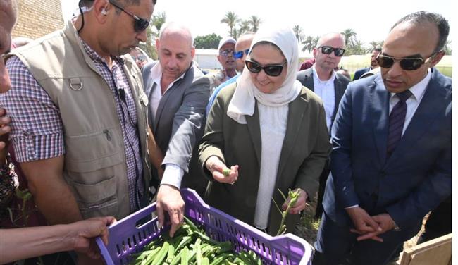 وزيرة التضامن تزور قرية الشيخ مسعود بالمنيا