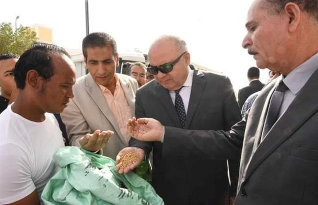 «الداودي» يتابع استلام محصول القمح بصومعه الترامسة غرب قنا 