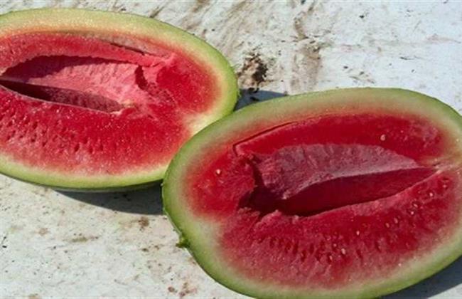 الحكومة تكشف حقيقة البطيخ المسرطن بالأسواق 