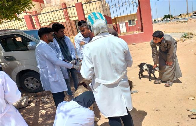 محافظ مطروح يتابع أعمال القافلة البيطرية المجانية بمدينة النجيلة 