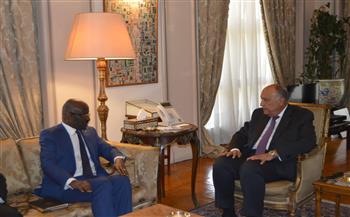   سامح شكرى يستقبل وزير الشؤون الخارجية والتعاون والموريتانيين في الخارج