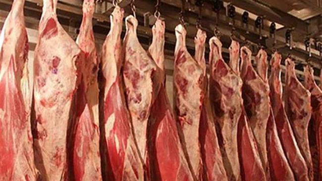 بعد انفلات أسعار اللحوم.. أسواق الأضاحي في خطر