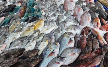   أسباب منع صيد أسماك البحر الأحمر أو بيعها في المطاعم لمدة شهرين