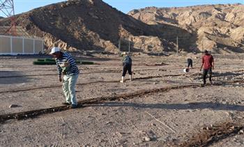   «الزراعة والبترول» تنفذان مشروعات تنموية في وادي فيران بجنوب سيناء