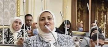 مقرر "المشاركة السياسية بالحوار الوطني": الاعتراض على قانون "الوصاية" بسبب حرية الجد في صرف أموال القصر