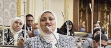 مقرر "المشاركة السياسية بالحوار الوطني": مخرجات مناقشة "الوصاية" جيدة جدا.. والتعديل التشريعي قريب