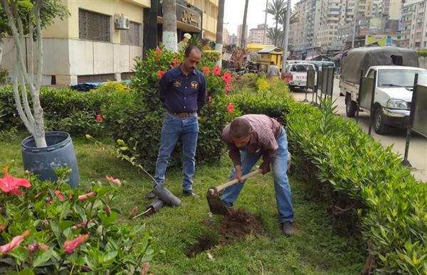 محافظ الإسكندرية :زراعة 116 ألف شجرة منذ بداية تنفيذ مبادرة «زراعة 100 مليون شجرة»