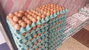   انخفاض مفاجئ فى أسعار البيض اليوم 