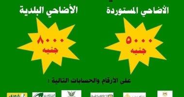 الأوقاف تطرح طلبات حجز صكوك الأضاحى