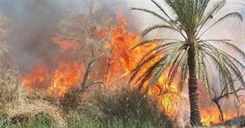   اشتعال حريق بمخلفات نخل في قرية أم خنان بالحوامدية