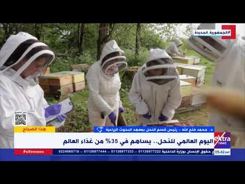 يمثل 35% من غذاء العالم.. البحوث الزراعية تعدد قيمة النحل وفوائد العسل