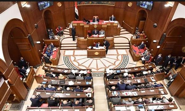 مجلس الشيوخ يبحث مستقبل صناعة الدواء في مصر