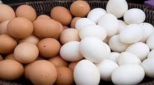   أيهما أفضل البيض الأبيض أم البني؟ خبراء يوضحون