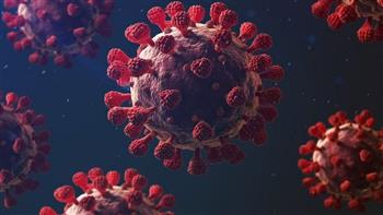   باحثون أمريكيون: الإصابة بكورونا قد يحدث تغييرات في جهاز المناعة
