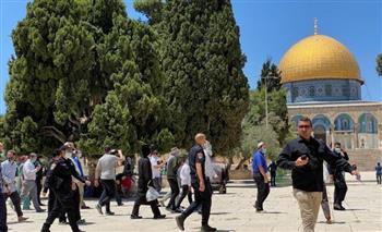 الأردن يدين بأشد العبارات اقتحام وزير الأمن القومي الإسرائيلي المسجد الأقصى