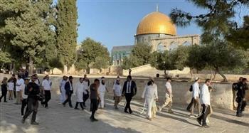   فلسطين: اقتحام بن جفير مجددا للأقصى يعد انتهاكا خطيرا لحرمة المسجد واستهتارا إسرائيليا بالعالم أجمع