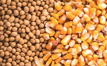   وزير الزراعة: الإفراج عن 225 ألف طن أعلاف «الذرة وفول الصويا» 