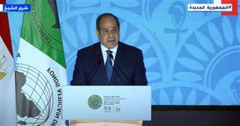 الرئيس السيسي: مصر تولي أهمية بالغة لدعم الاقتصاد الأخضر