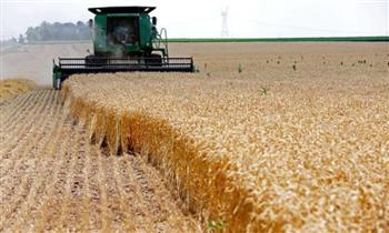   «التنمية المحلية» تتلقى تقريرا عن حصاد محصول القمح بمحافظتي أسيوط والدقهلية