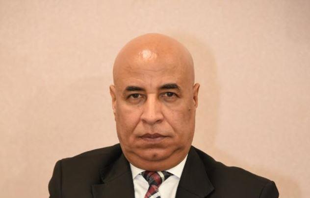 عادل حنفي: الجميع يشهد بتطور البنية التحتية والأمن بما يعزز الاستثمار الأجنبي