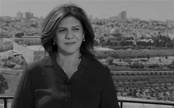   نقيب الصحفيين الفلسطينيين: قضية «شيرين أبو عاقلة» لن تسقط بالتقادم وسنلاحق قاتليها دوليا