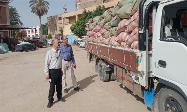 ضبط سيارات محملة بـ 98 طن من محصول القمح بهدف الاحتكار بمراكز محافظة المنيا