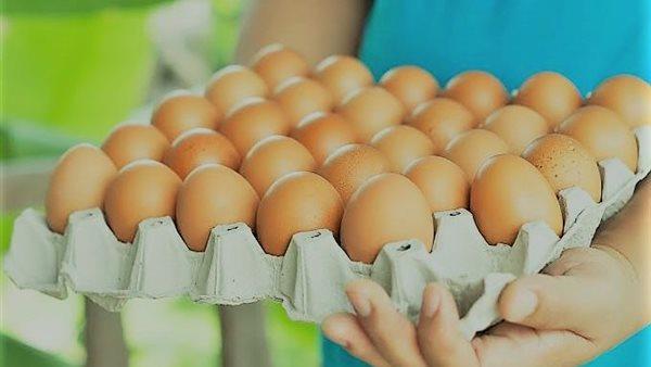 الكرتونة بـ80 جنيهًا.. تراجع قوي في أسعار البيض