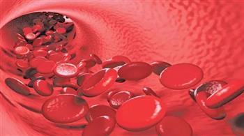   إرشادات غذائية للمرضي الذين يستخدمون مضادات التخثر للدم